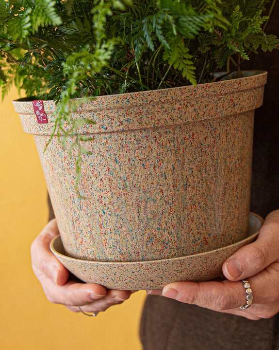 Woljam - Sundae Series Planter - Confetti