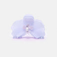 Chunks - Orchid Claw - Angelite