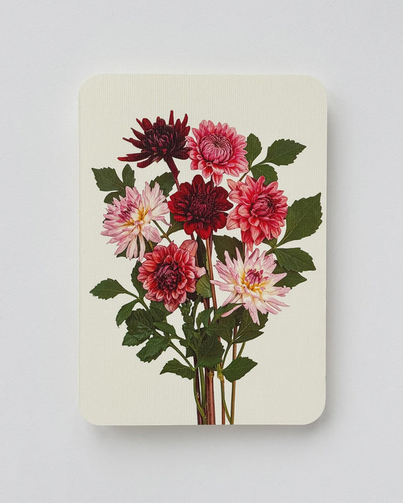 Canonbury Press - Garden Dahlias Greeting Card