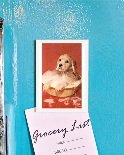 Found Image Press - Dog Bathing in Plastic Basin Magnet