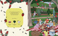 Birds, Blooms & Bugs by Megan McKean