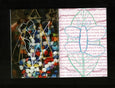 Carla McRae - 'Blooming & Buzzing Confusion' Zine