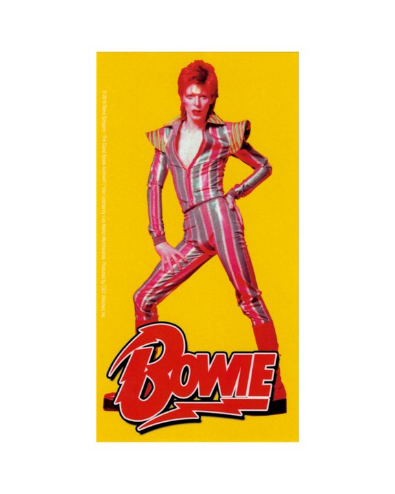 David Bowie - Ziggy Stardust - Sticker