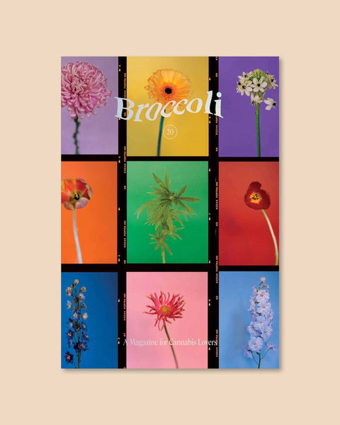 Broccoli Magazine Issue 20