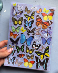 Martina's Tiny Store - Butterfly Stickersheet