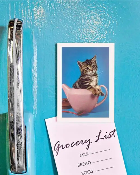 Found Image Press - Kitten In Teapot Magnet