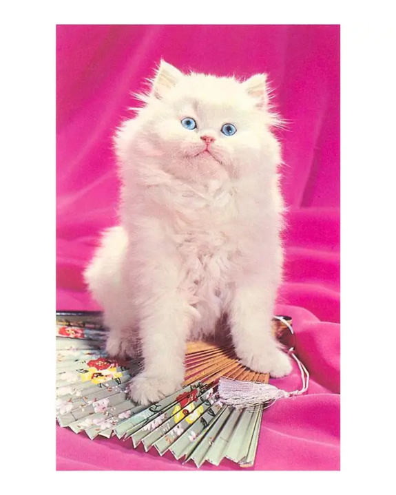 Found Image Press - Alert Fluffy Kitten Postcard