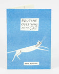 Kaye Blegvad - Riso Printed Zine - Routine Questions For The Cat