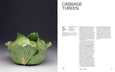 Ceramics An Atlas of Forms by Glenn Barkley