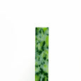 CHOPIT - Chopping Board - Moss