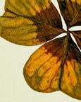 Canonbury Press - Four Leaf Clover Greeting Card