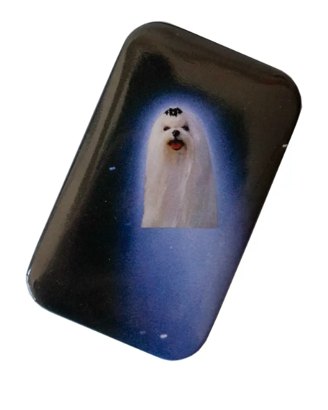 Gentle Thrills - Comet Pinback Badge / Button
