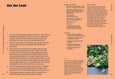 The Container Gardening Handbook by Isabelle Palmer