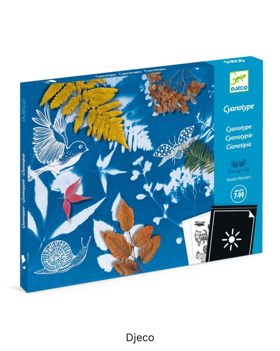Djeco - Cyanotype Starter Kit