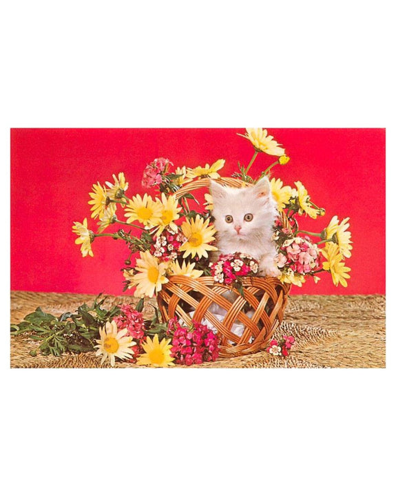 Found Image Press - White Kitten in Basket of Daisies Postcard