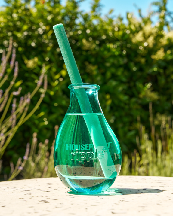 Houseplant by Droplet - Reed Diffuser