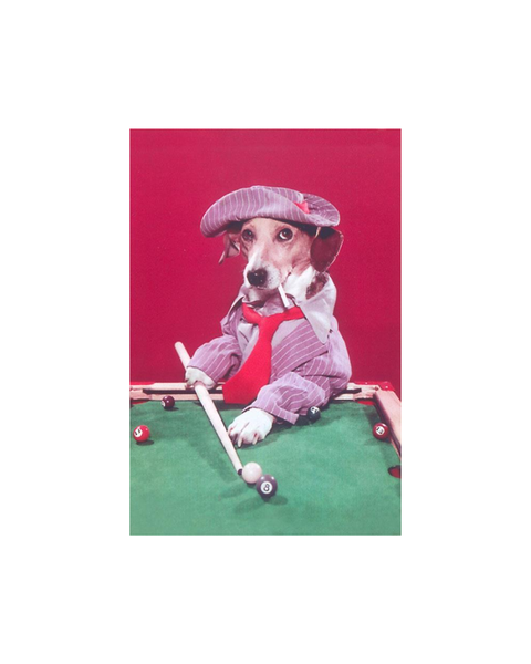 Found Image Press - Dog Pool Shark Magnet