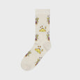 Socks Appeal x Hannah-Michelle Bayley - Fairy Friends Socks