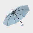 Socks Appeal x Hannah-Michelle Bayley - Fairy Friends Umbrella