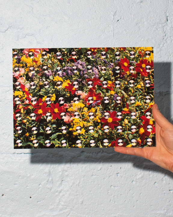 Emily Green - Field of Flowers - Giclee Print