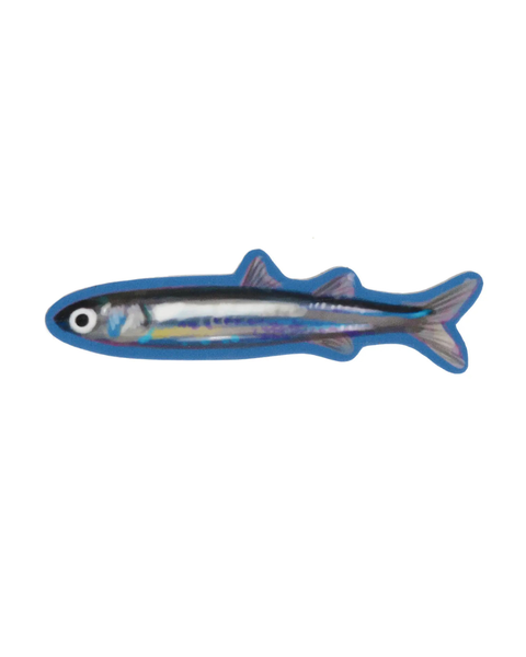 Rags AF - Fish 2! Sticker