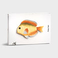 &klevering - Plate - Fish Rainbow