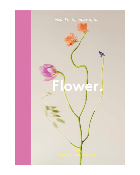 Flower: New photography of the Flower