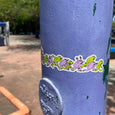 Maddie Fischer - Frantic Frogs Sticker
