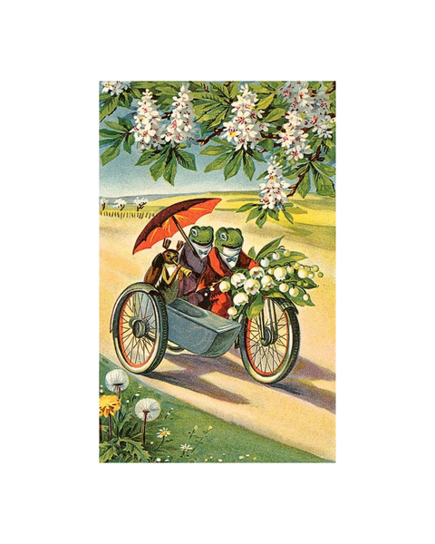 Found Image Press - Two Frogs On Motorcycle with Umbrella Postcard