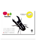 Hacomo - Craft Kit - Beetle