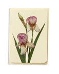 Canonbury Press - Iris Greeting Card