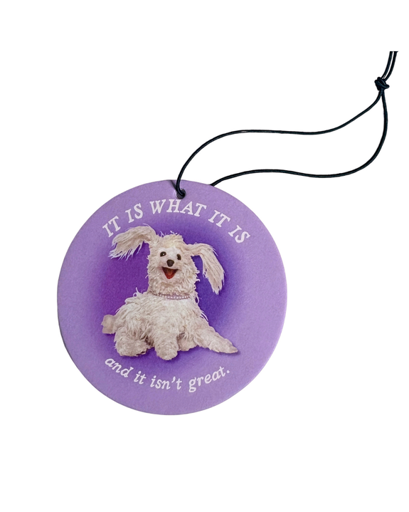 Carla Adams - It Is What It Is Air Freshener