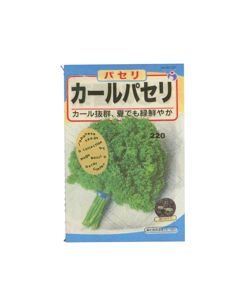 Terry Bleu - Seeds by Oscar Ginter & Hugo Rocci