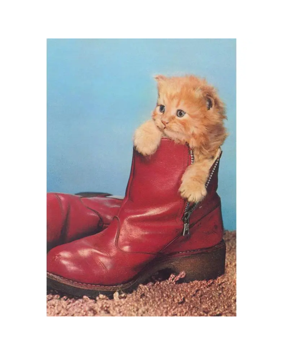 Found Image Press - Kitten in Boot Magnet