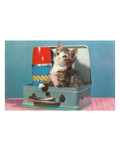 Found Image Press - Kitten in A Lunchbox Postcard
