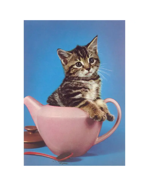 Found Image Press - Kitten in Tea Pot Postcard