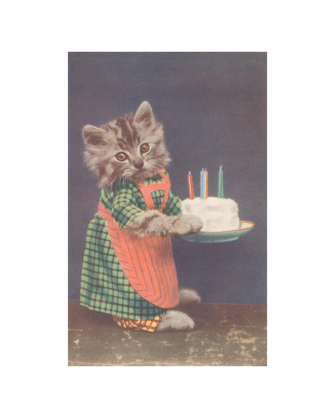 Found Image Press - Dressed Kitten with Birthday Cake Postcard