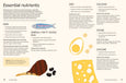 Lunchbox Bible By Julia Tellidis and Lauren Skora