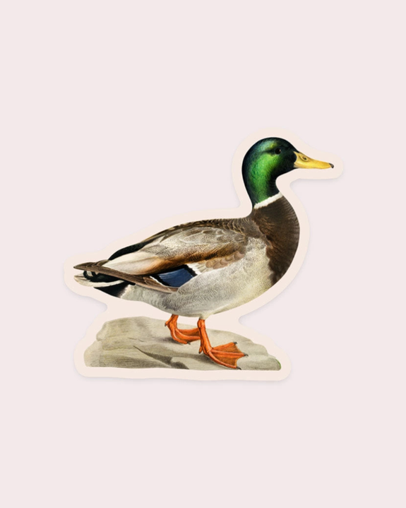 Stay Home Club - Measured Mallard Gap Filler Sticker