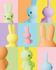Miffy Colourful Surprise - Bundle of Light