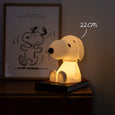 Snoopy Bundle of Light