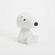 Snoopy Bundle of Light