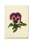 Canonbury Press - Pansy I Greeting Card