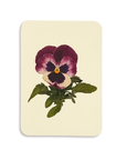 Canonbury Press - Pansy I Greeting Card