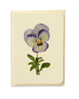 Canonbury Press - Pansy II Greeting Card