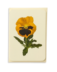 Canonbury Press - Pansy III Greeting Card
