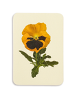 Canonbury Press - Pansy III Greeting Card