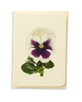 Canonbury Press - Pansy V Greeting Card