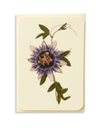 Canonbury Press - Passion Flower Greeting Card