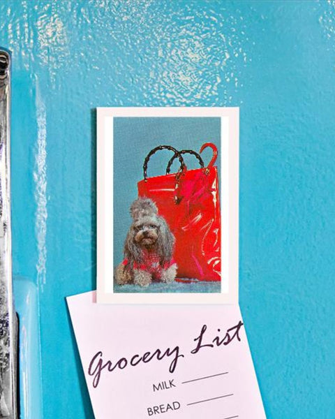 Found Image Press - Miniature Poodle By Plastic Bag Magnet